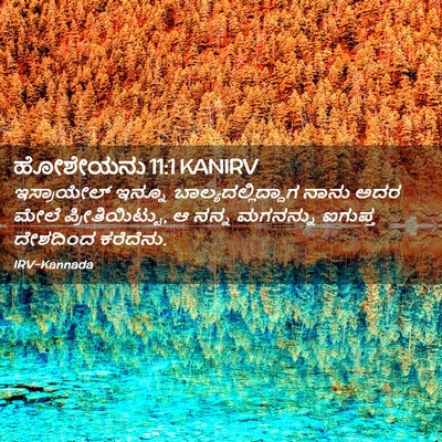 Picture 02 - ಹೋಶೇಯನು 11:1 KANIRV - ಇಸ್ರಾಯೇಲ್ ಇನ್ನೂ - Bible Verse Picture