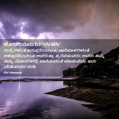 Picture 02 - ಹೋಶೇಯನು 11:11 KANIRV - ಗುಬ್ಬಿಗಳಂತೆ - Bible Verse Picture