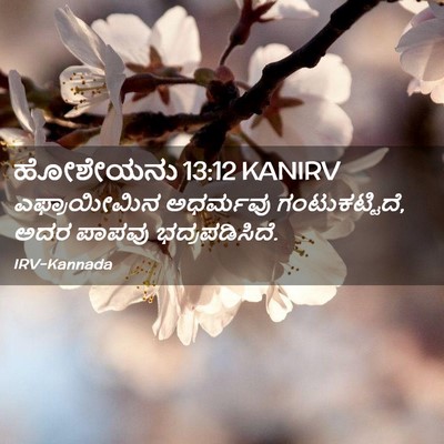 Picture 02 - ಹೋಶೇಯನು 13:12 KANIRV - ಎಫ್ರಾಯೀಮಿನ - Bible Verse Picture