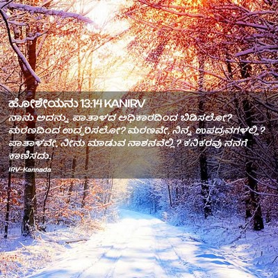 Picture 02 - ಹೋಶೇಯನು 13:14 KANIRV - ನಾನು ಅದನ್ನು - Bible Verse Picture