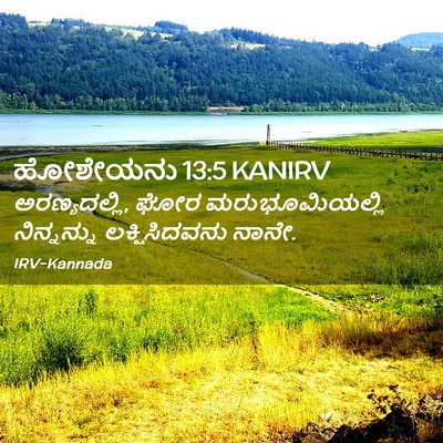 Picture 02 - ಹೋಶೇಯನು 13:5 KANIRV - ಅರಣ್ಯದಲ್ಲಿ, ಘೋರ - Bible Verse Picture