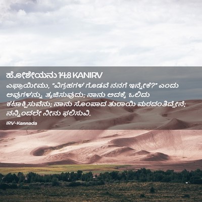 Picture 02 - ಹೋಶೇಯನು 14:8 KANIRV - ಎಫ್ರಾಯೀಮು, - Bible Verse Picture
