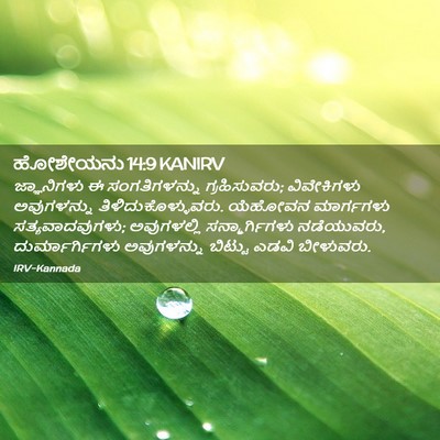 Picture 02 - ಹೋಶೇಯನು 14:9 KANIRV - ಜ್ಞಾನಿಗಳು ಈ - Bible Verse Picture