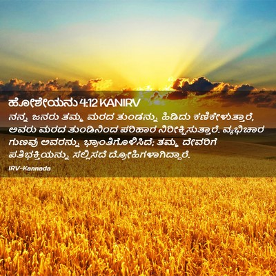 Picture 02 - ಹೋಶೇಯನು 4:12 KANIRV - ನನ್ನ ಜನರು ತಮ್ಮ ಮರದ - Bible Verse Picture
