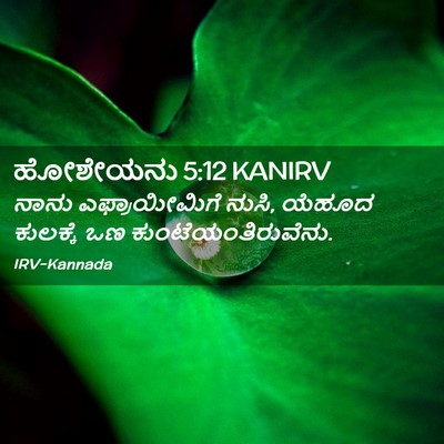 Picture 02 - ಹೋಶೇಯನು 5:12 KANIRV - ನಾನು ಎಫ್ರಾಯೀಮಿಗೆ - Bible Verse Picture
