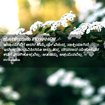 Picture 02 - ಹೋಶೇಯನು 7:10 KANIRV - ಇಸ್ರಾಯೇಲಿಗೆ ಅದರ - Bible Verse Picture
