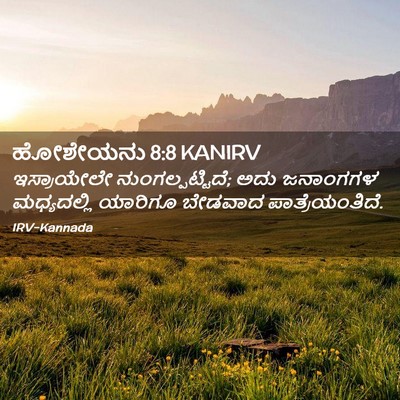 Picture 02 - ಹೋಶೇಯನು 8:8 KANIRV - ಇಸ್ರಾಯೇಲೇ - Bible Verse Picture