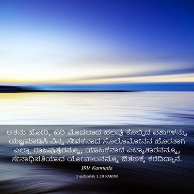 Picture 03 - 1 ಅರಸುಗಳು 1:19 KANIRV - ಆತನು ಹೋರಿ, ಕುರಿ - Bible Verse Picture