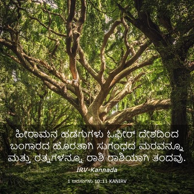 Picture 03 - 1 ಅರಸುಗಳು 10:11 KANIRV - ಹೀರಾಮನ ಹಡಗುಗಳು - Bible Verse Picture