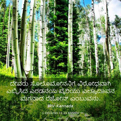 Picture 03 - 1 ಅರಸುಗಳು 11:23 KANIRV - ದೇವರು ಸೊಲೊಮೋನನಿಗೆ - Bible Verse Picture