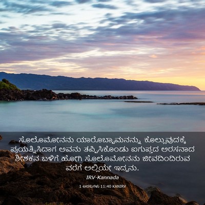 Picture 03 - 1 ಅರಸುಗಳು 11:40 KANIRV - ಸೊಲೊಮೋನನು - Bible Verse Picture