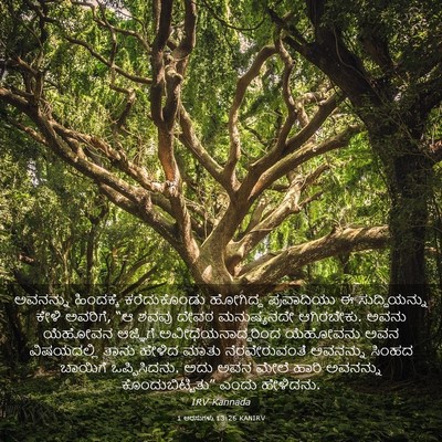 Picture 03 - 1 ಅರಸುಗಳು 13:26 KANIRV - ಅವನನ್ನು ಹಿಂದಕ್ಕೆ - Bible Verse Picture