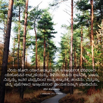 Picture 03 - 1 ಅರಸುಗಳು 14:7 KANIRV - ನೀನು ಹೋಗಿ - Bible Verse Picture