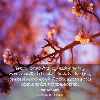 Picture 03 - 1 ಅರಸುಗಳು 15:14 KANIRV - ಅವನು ದೇಶದಲ್ಲಿದ್ದ - Bible Verse Picture