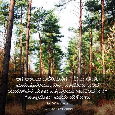 Picture 03 - 1 ಅರಸುಗಳು 17:24 KANIRV - ಆಗ ಆಕೆಯು ಎಲೀಯನಿಗೆ, - Bible Verse Picture