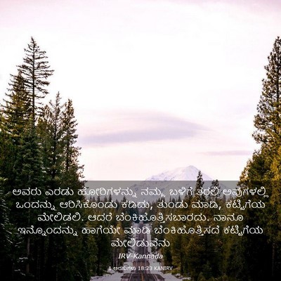 Picture 03 - 1 ಅರಸುಗಳು 18:23 KANIRV - ಅವರು ಎರಡು - Bible Verse Picture