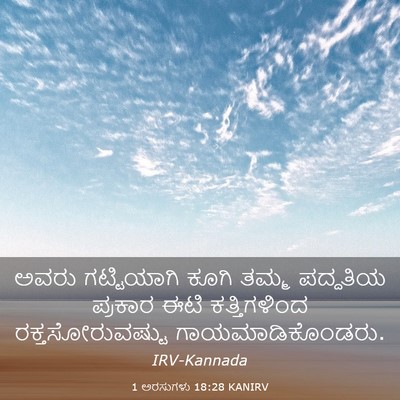 Picture 03 - 1 ಅರಸುಗಳು 18:28 KANIRV - ಅವರು ಗಟ್ಟಿಯಾಗಿ - Bible Verse Picture