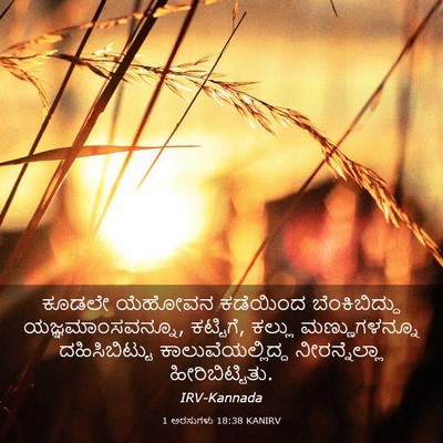 Picture 03 - 1 ಅರಸುಗಳು 18:38 KANIRV - ಕೂಡಲೇ ಯೆಹೋವನ - Bible Verse Picture