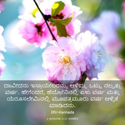 Picture 03 - 1 ಅರಸುಗಳು 2:11 KANIRV - ದಾವೀದನು - Bible Verse Picture