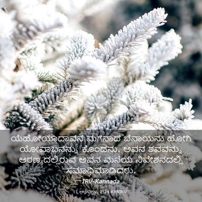 Picture 03 - 1 ಅರಸುಗಳು 2:34 KANIRV - ಯೆಹೋಯಾದಾವನ ಮಗನಾದ - Bible Verse Picture
