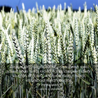 Picture 03 - 1 ಅರಸುಗಳು 20:16 KANIRV - ಮಧ್ಯಾಹ್ನದಲ್ಲಿ - Bible Verse Picture