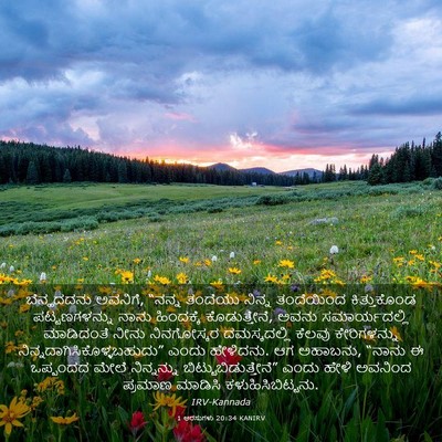 Picture 03 - 1 ಅರಸುಗಳು 20:34 KANIRV - ಬೆನ್ಹದದನು ಅವನಿಗೆ, - Bible Verse Picture