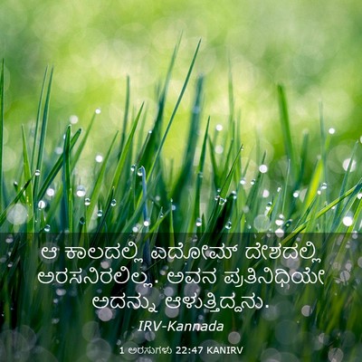 Picture 03 - 1 ಅರಸುಗಳು 22:47 KANIRV - ಆ ಕಾಲದಲ್ಲಿ ಎದೋಮ್ - Bible Verse Picture