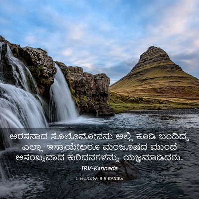 Picture 03 - 1 ಅರಸುಗಳು 8:5 KANIRV - ಅರಸನಾದ ಸೊಲೊಮೋನನು - Bible Verse Picture