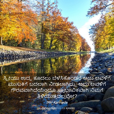 Picture 03 - 1 ಕೊರಿಂಥದವರಿಗೆ 11:15 KANIRV - ಸ್ತ್ರೀಯು ಉದ್ದ - Bible Verse Picture