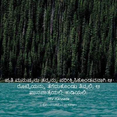 Picture 03 - 1 ಕೊರಿಂಥದವರಿಗೆ 11:28 KANIRV - ಪ್ರತಿ ಮನುಷ್ಯನು - Bible Verse Picture