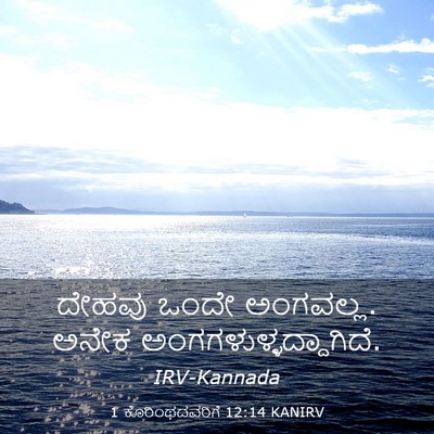 Picture 03 - 1 ಕೊರಿಂಥದವರಿಗೆ 12:14 KANIRV - ದೇಹವು ಒಂದೇ - Bible Verse Picture