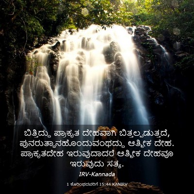 Picture 03 - 1 ಕೊರಿಂಥದವರಿಗೆ 15:44 KANIRV - ಬಿತ್ತಿದ್ದು - Bible Verse Picture