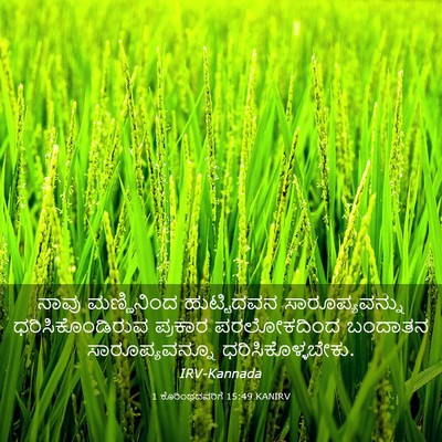 Picture 03 - 1 ಕೊರಿಂಥದವರಿಗೆ 15:49 KANIRV - ನಾವು ಮಣ್ಣಿನಿಂದ - Bible Verse Picture