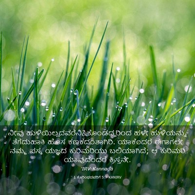 Picture 03 - 1 ಕೊರಿಂಥದವರಿಗೆ 5:7 KANIRV - ನೀವು - Bible Verse Picture