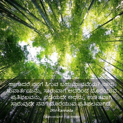 Picture 03 - 1 ಕೊರಿಂಥದವರಿಗೆ 9:18 KANIRV - ಹಾಗಾದರೆ ನನಗೆ - Bible Verse Picture