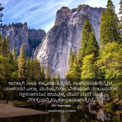 Picture 03 - 1 ತಿಮೊಥೆಯನಿಗೆ 4:10 KANIRV - ಇದಕ್ಕಾಗಿ ನಾವು - Bible Verse Picture