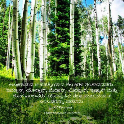 Picture 03 - 1 ಪೂರ್ವಕಾಲವೃತ್ತಾಂತ 1:32 KANIRV - ಅಬ್ರಹಾಮನ - Bible Verse Picture