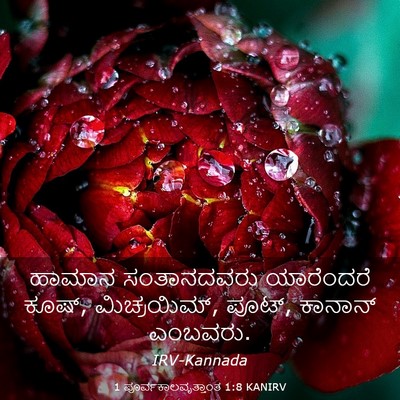 Picture 03 - 1 ಪೂರ್ವಕಾಲವೃತ್ತಾಂತ 1:8 KANIRV - ಹಾಮಾನ ಸಂತಾನದವರು - Bible Verse Picture