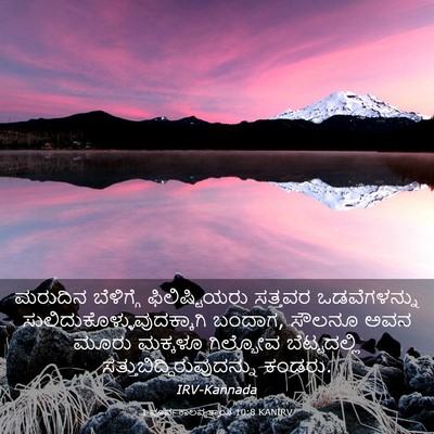 Picture 03 - 1 ಪೂರ್ವಕಾಲವೃತ್ತಾಂತ 10:8 KANIRV - ಮರುದಿನ ಬೆಳಿಗ್ಗೆ - Bible Verse Picture