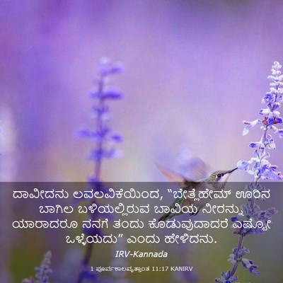 Picture 03 - 1 ಪೂರ್ವಕಾಲವೃತ್ತಾಂತ 11:17 KANIRV - ದಾವೀದನು - Bible Verse Picture