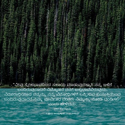 Picture 03 - 1 ಪೂರ್ವಕಾಲವೃತ್ತಾಂತ 12:17 KANIRV - “ನೀವು - Bible Verse Picture