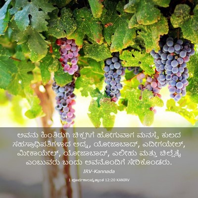 Picture 03 - 1 ಪೂರ್ವಕಾಲವೃತ್ತಾಂತ 12:20 KANIRV - ಅವನು ಹಿಂತಿರುಗಿ - Bible Verse Picture