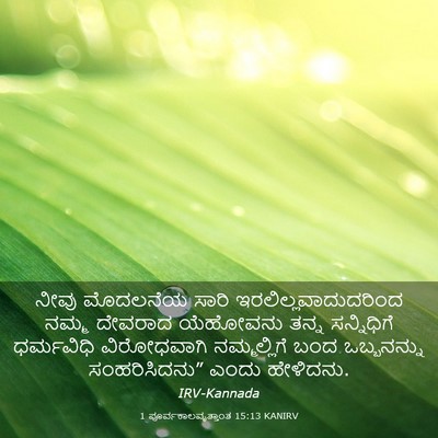 Picture 03 - 1 ಪೂರ್ವಕಾಲವೃತ್ತಾಂತ 15:13 KANIRV - ನೀವು ಮೊದಲನೆಯ ಸಾರಿ - Bible Verse Picture