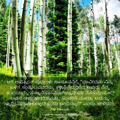 Picture 03 - 1 ಪೂರ್ವಕಾಲವೃತ್ತಾಂತ 19:3 KANIRV - ಆಗ ಅಮ್ಮೋನ್ - Bible Verse Picture
