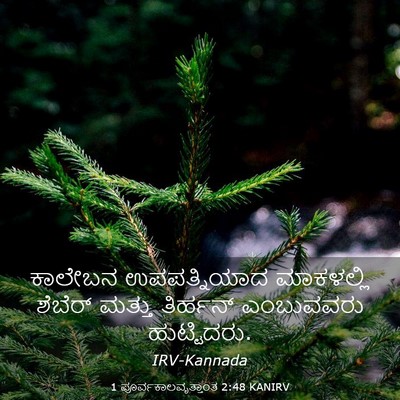 Picture 03 - 1 ಪೂರ್ವಕಾಲವೃತ್ತಾಂತ 2:48 KANIRV - ಕಾಲೇಬನ ಉಪಪತ್ನಿಯಾದ - Bible Verse Picture