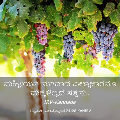 Picture 03 - 1 ಪೂರ್ವಕಾಲವೃತ್ತಾಂತ 24:28 KANIRV - ಮಹ್ಲೀಯನ ಮಗನಾದ - Bible Verse Picture