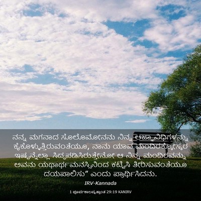 Picture 03 - 1 ಪೂರ್ವಕಾಲವೃತ್ತಾಂತ 29:19 KANIRV - ನನ್ನ ಮಗನಾದ - Bible Verse Picture