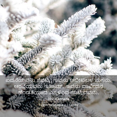 Picture 03 - 1 ಪೂರ್ವಕಾಲವೃತ್ತಾಂತ 3:3 KANIRV - ಐದನೆಯವನು ಶೆಫಟ್ಯ, - Bible Verse Picture
