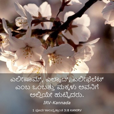 Picture 03 - 1 ಪೂರ್ವಕಾಲವೃತ್ತಾಂತ 3:8 KANIRV - ಎಲೀಷಾಮ್, ಎಲ್ಯಾದ್, - Bible Verse Picture