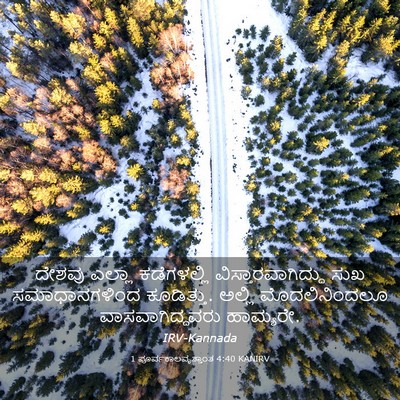 Picture 03 - 1 ಪೂರ್ವಕಾಲವೃತ್ತಾಂತ 4:40 KANIRV - ದೇಶವು ಎಲ್ಲಾ - Bible Verse Picture